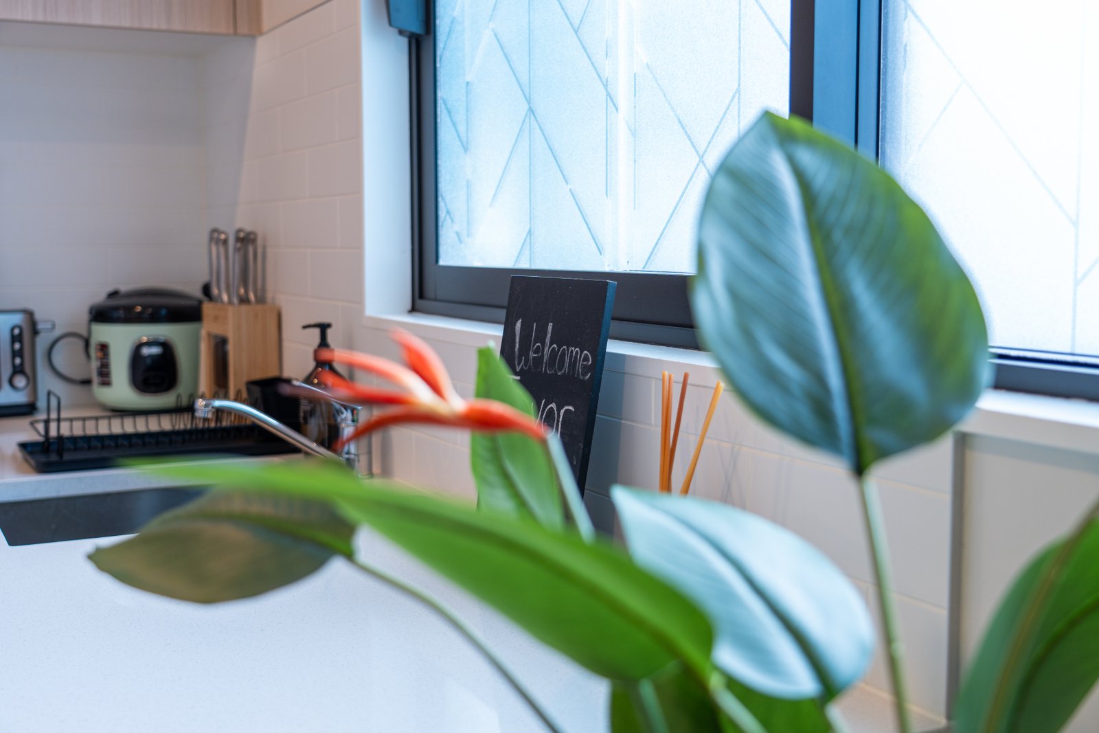 Modern kitchen with welcome touches